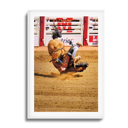 Rodeo Bravery Framed Art