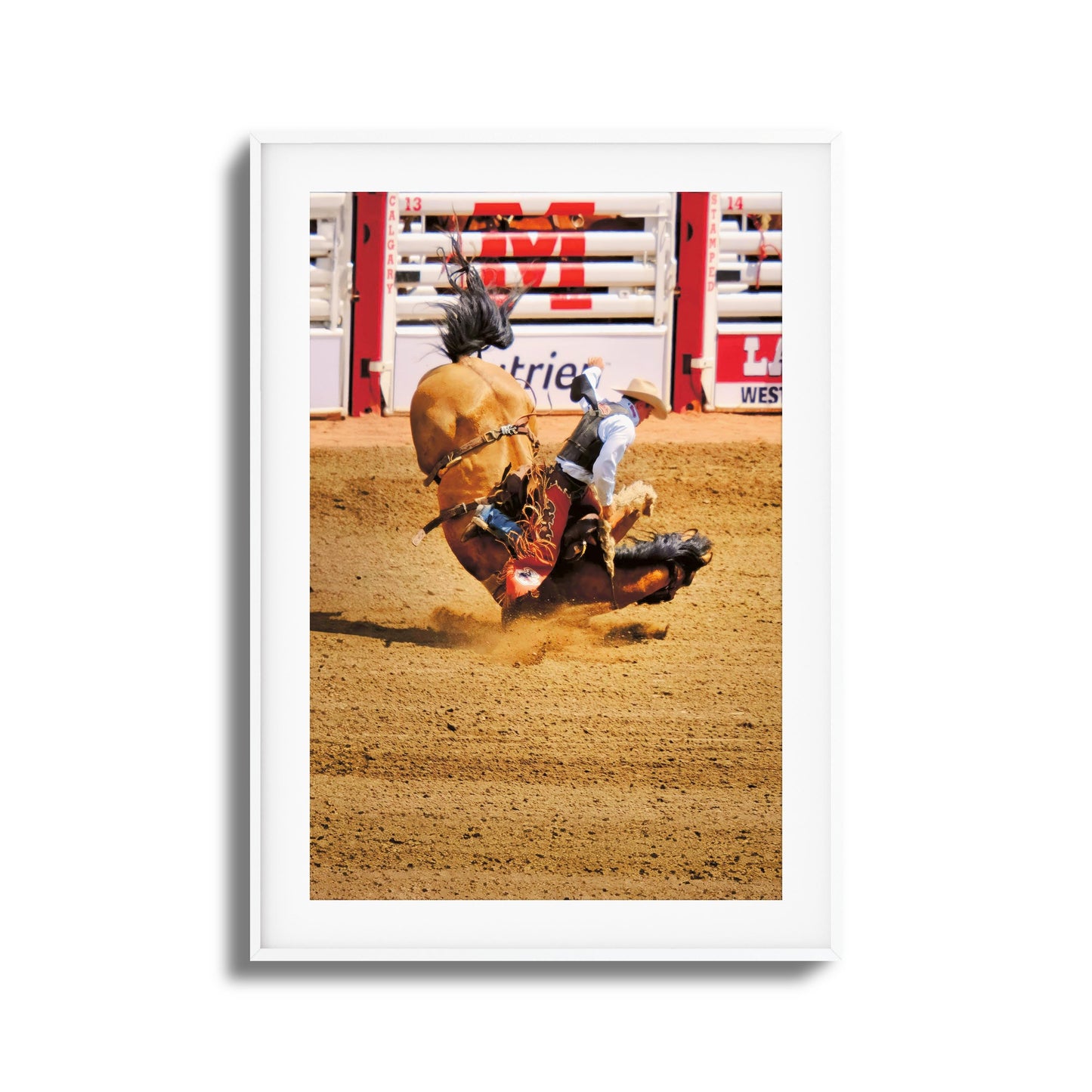 Rodeo Bravery Framed Art