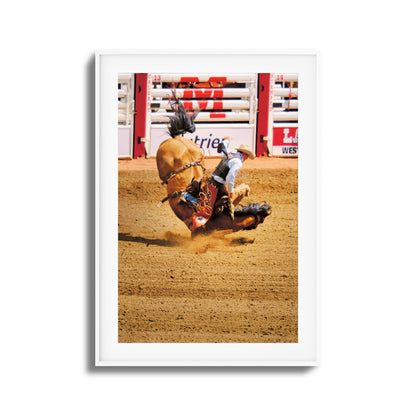 Rodeo Bravery Framed Art