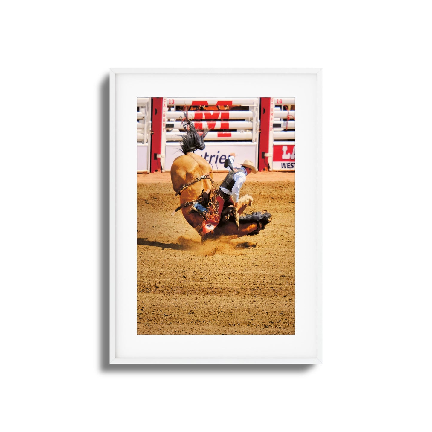 Rodeo Bravery Framed Art