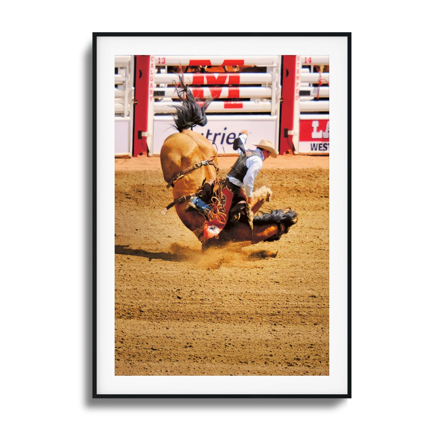 Rodeo Bravery Framed Art