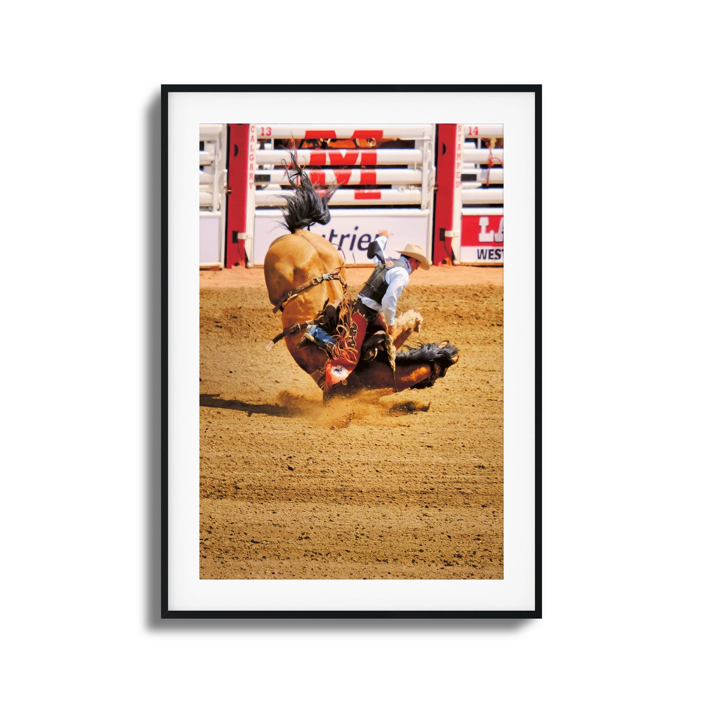 Rodeo Bravery Framed Art