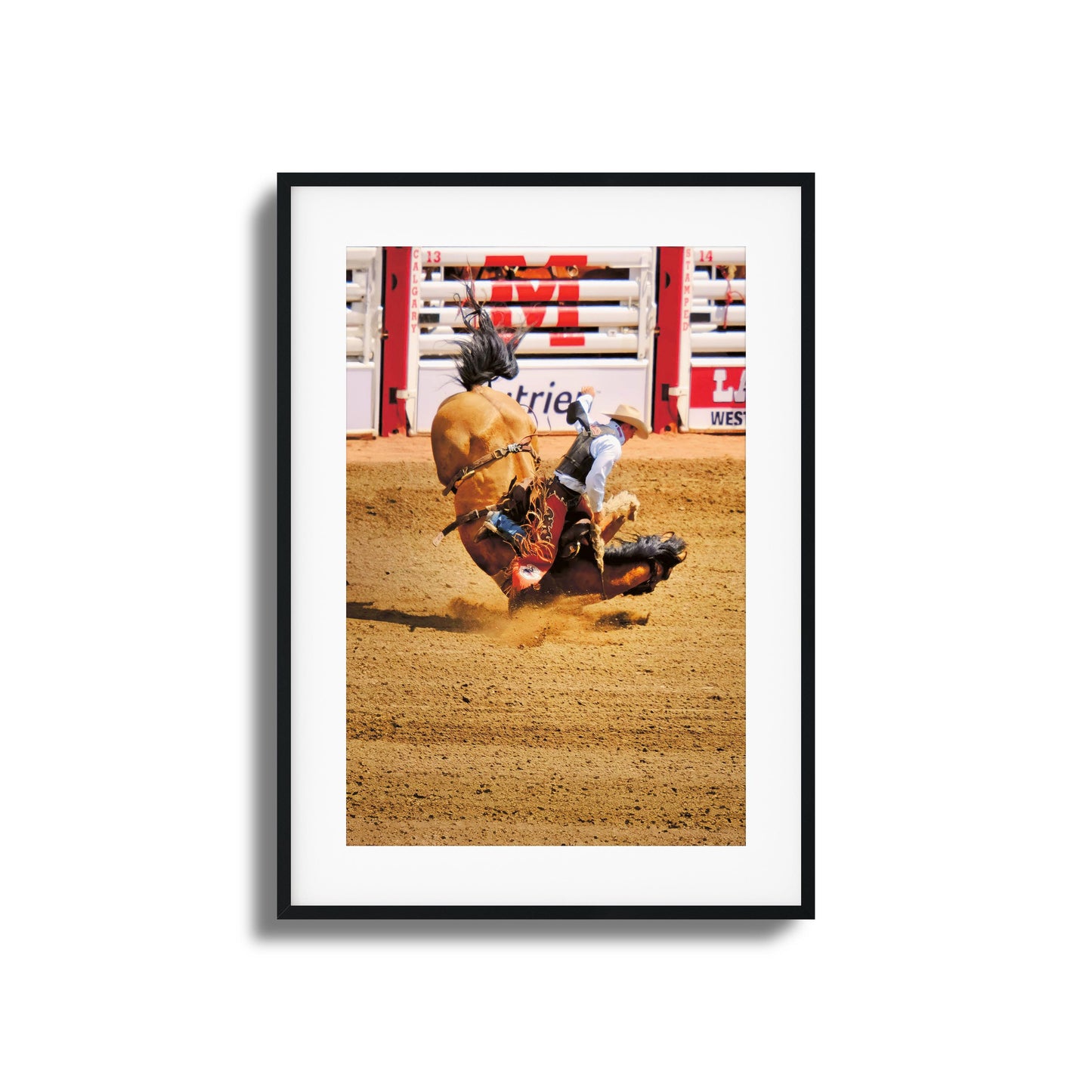 Rodeo Bravery Framed Art