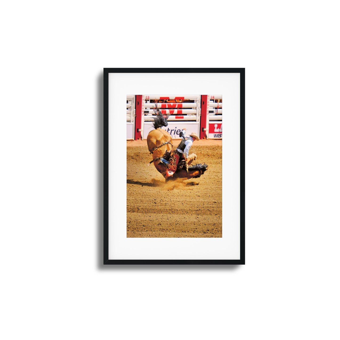 Rodeo Bravery Framed Art