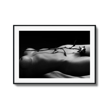 Rose and Nude Framed Art