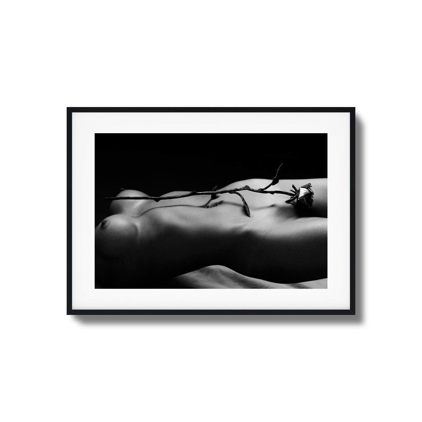 Rose and Nude Framed Art