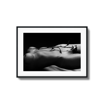 Rose and Nude Framed Art