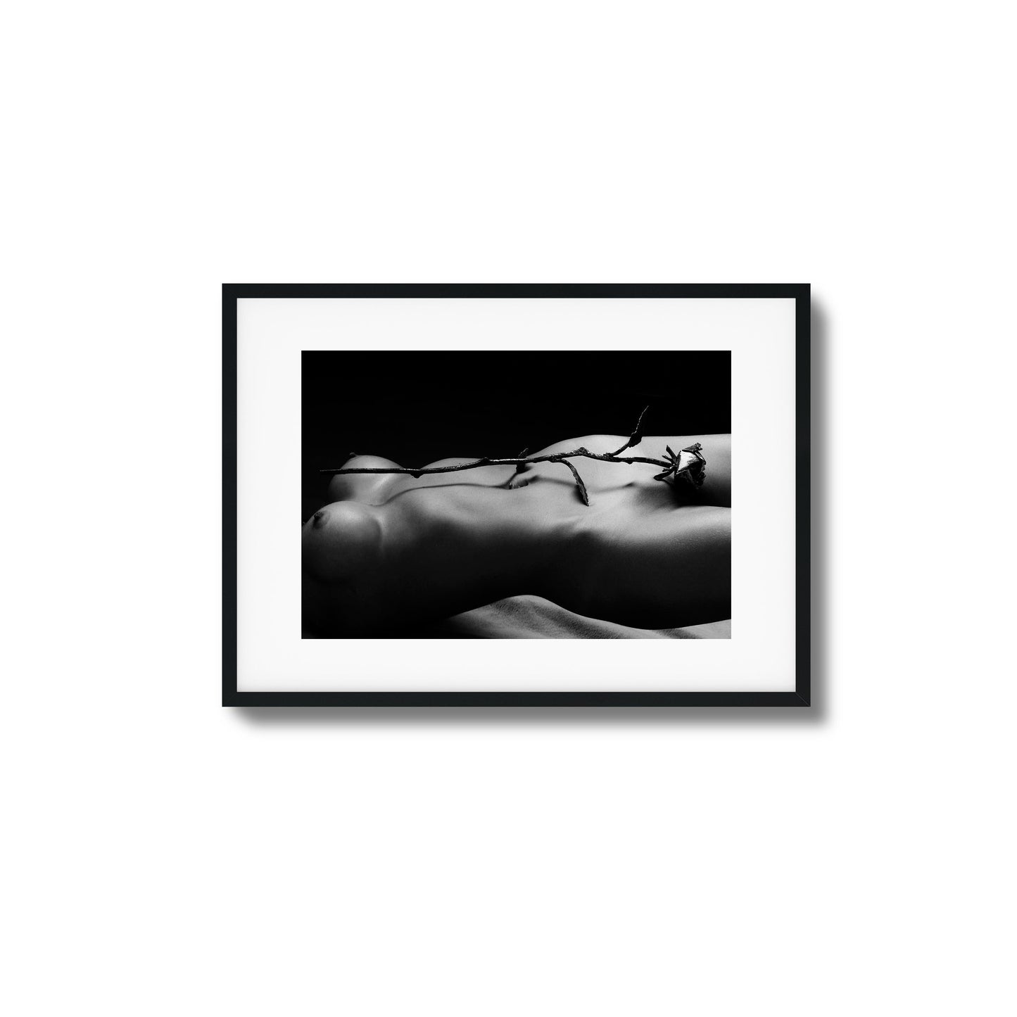 Rose and Nude Framed Art