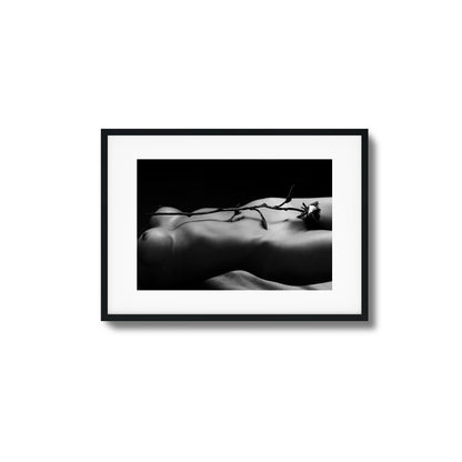 Rose and Nude Framed Art