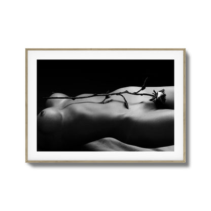 Rose and Nude Framed Art