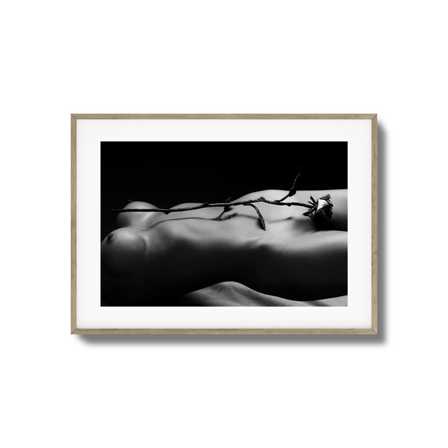 Rose and Nude Framed Art