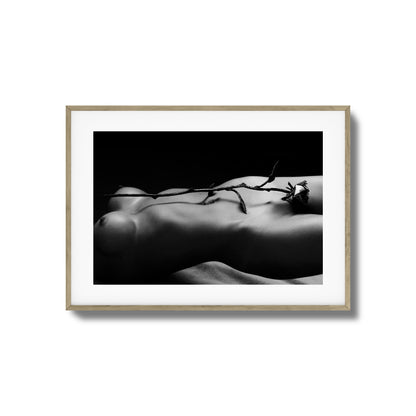 Rose and Nude Framed Art