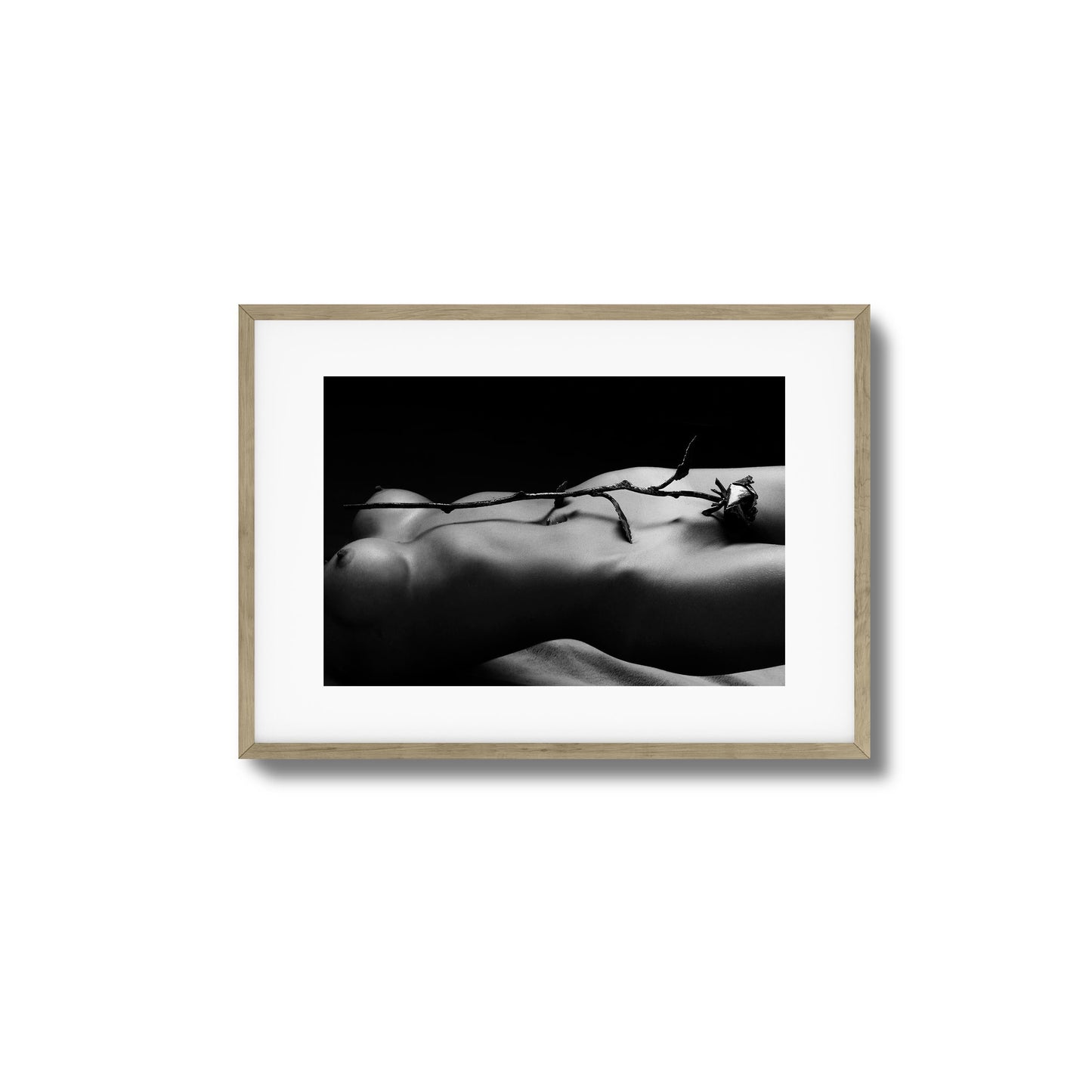 Rose and Nude Framed Art