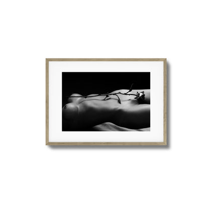 Rose and Nude Framed Art