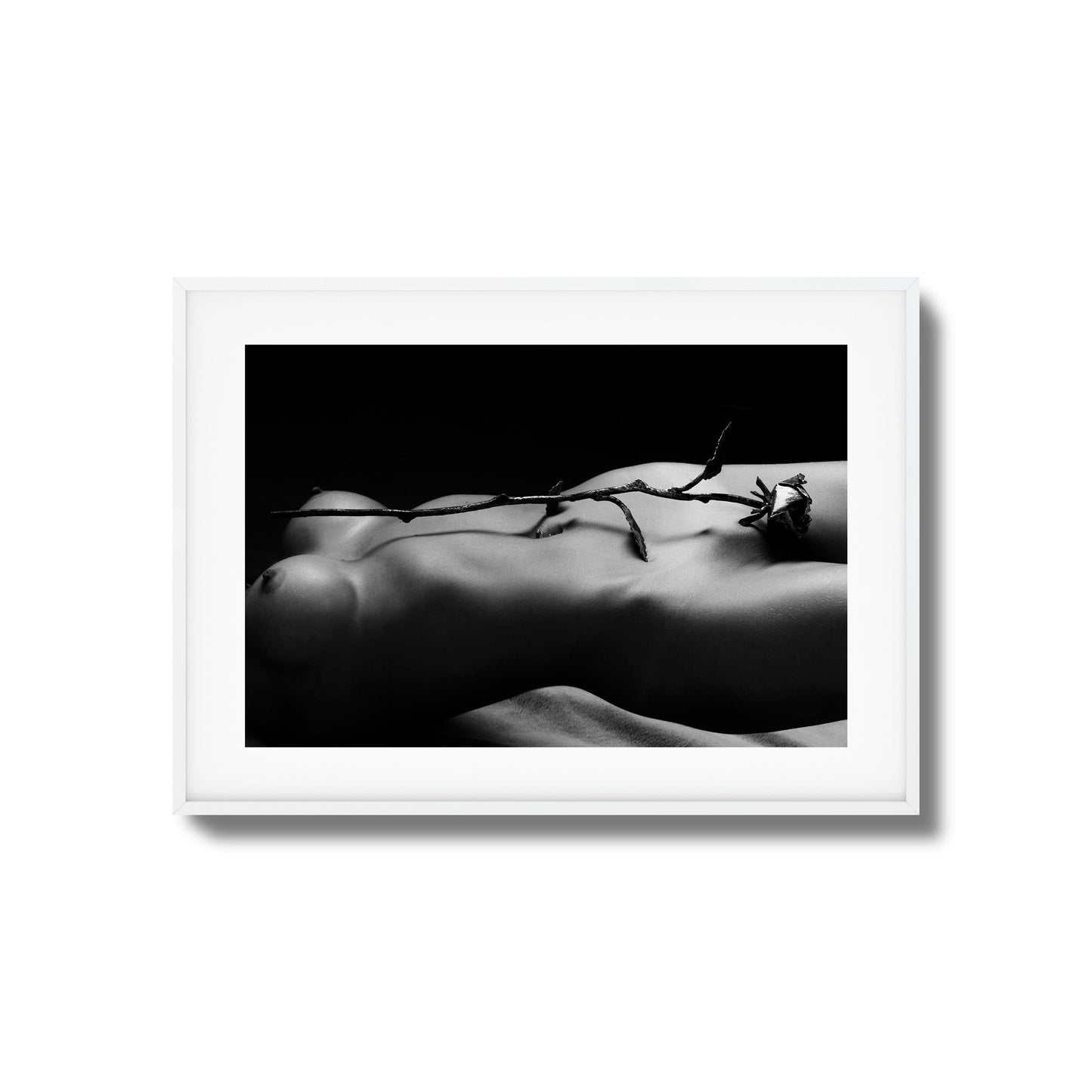 Rose and Nude Framed Art