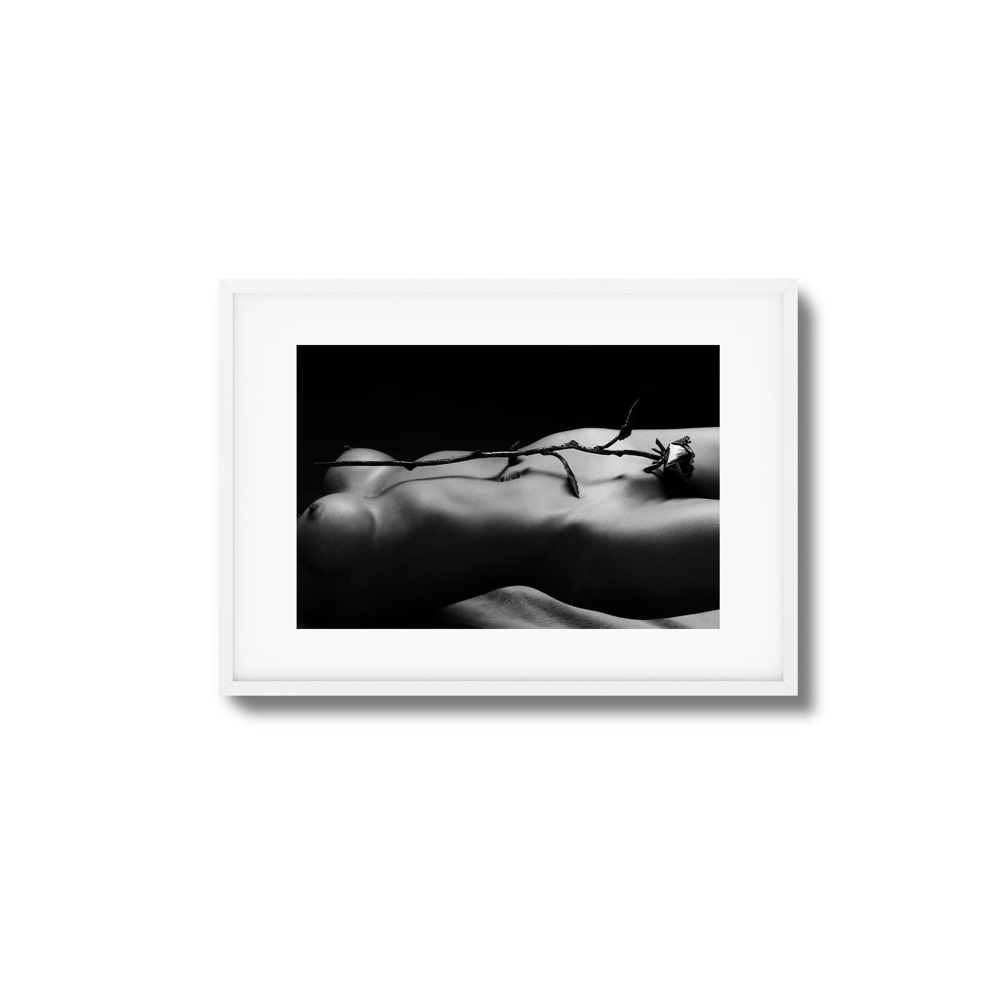 Rose and Nude Framed Art