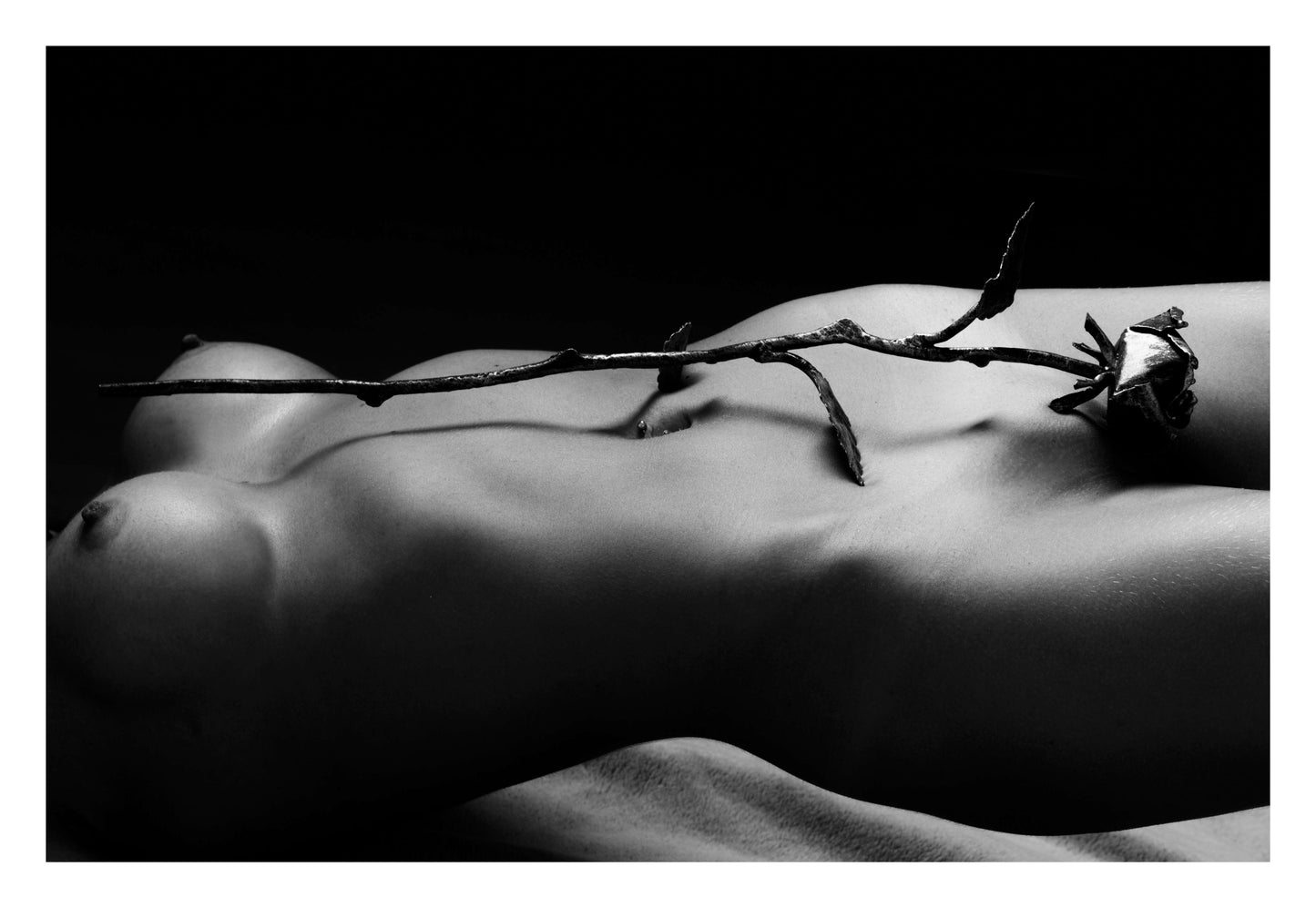 Rose and Nude Framed Art