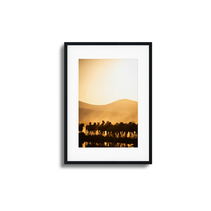 Run Wild Framed Art