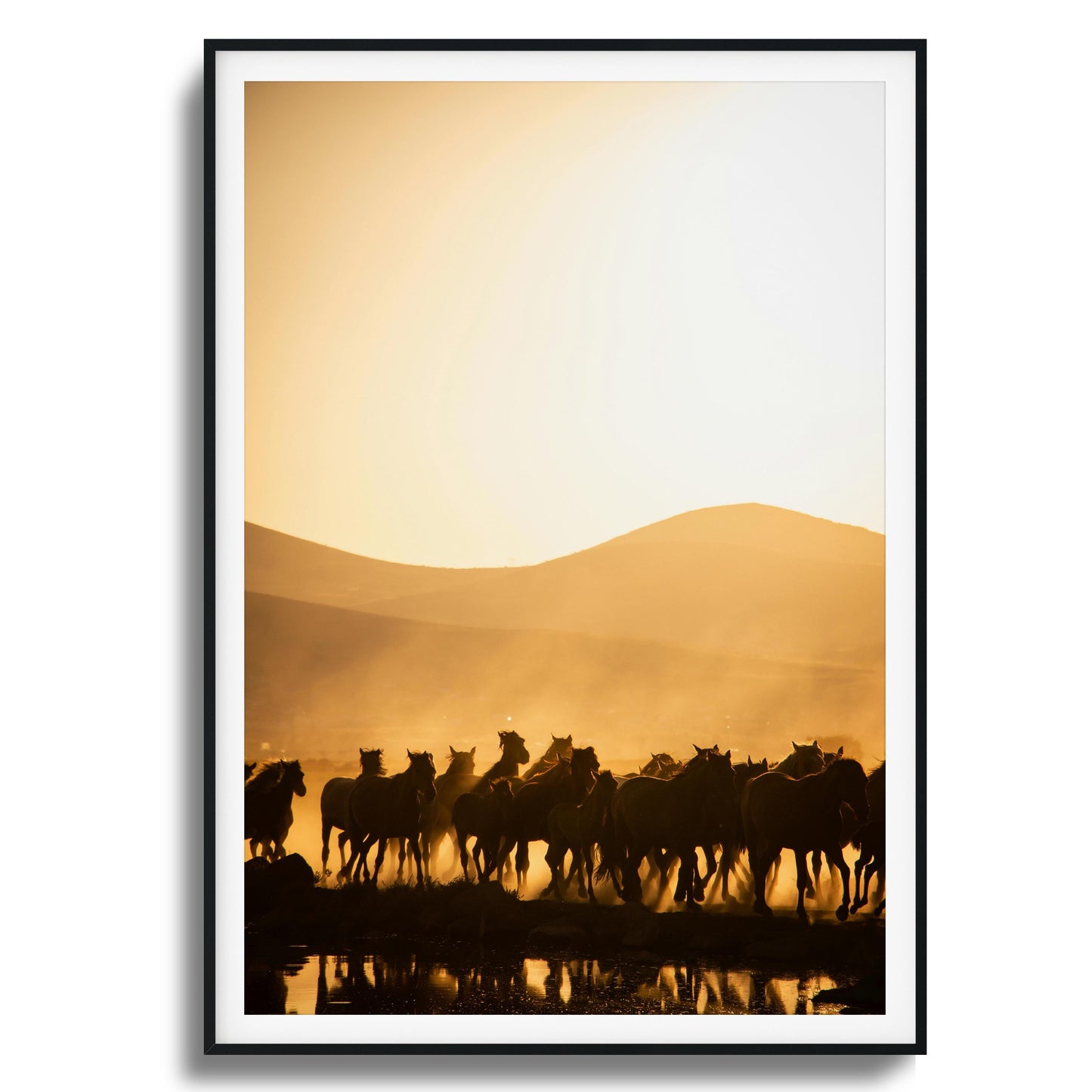 Run Wild Framed Art