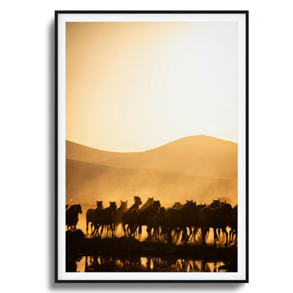 Run Wild Framed Art