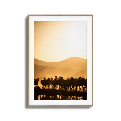 Run Wild Framed Art