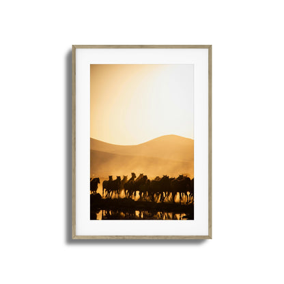 Run Wild Framed Art