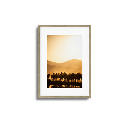 Run Wild Framed Art