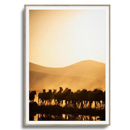 Run Wild Framed Art