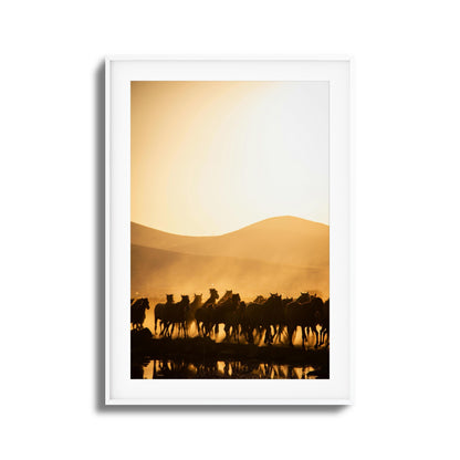 Run Wild Framed Art