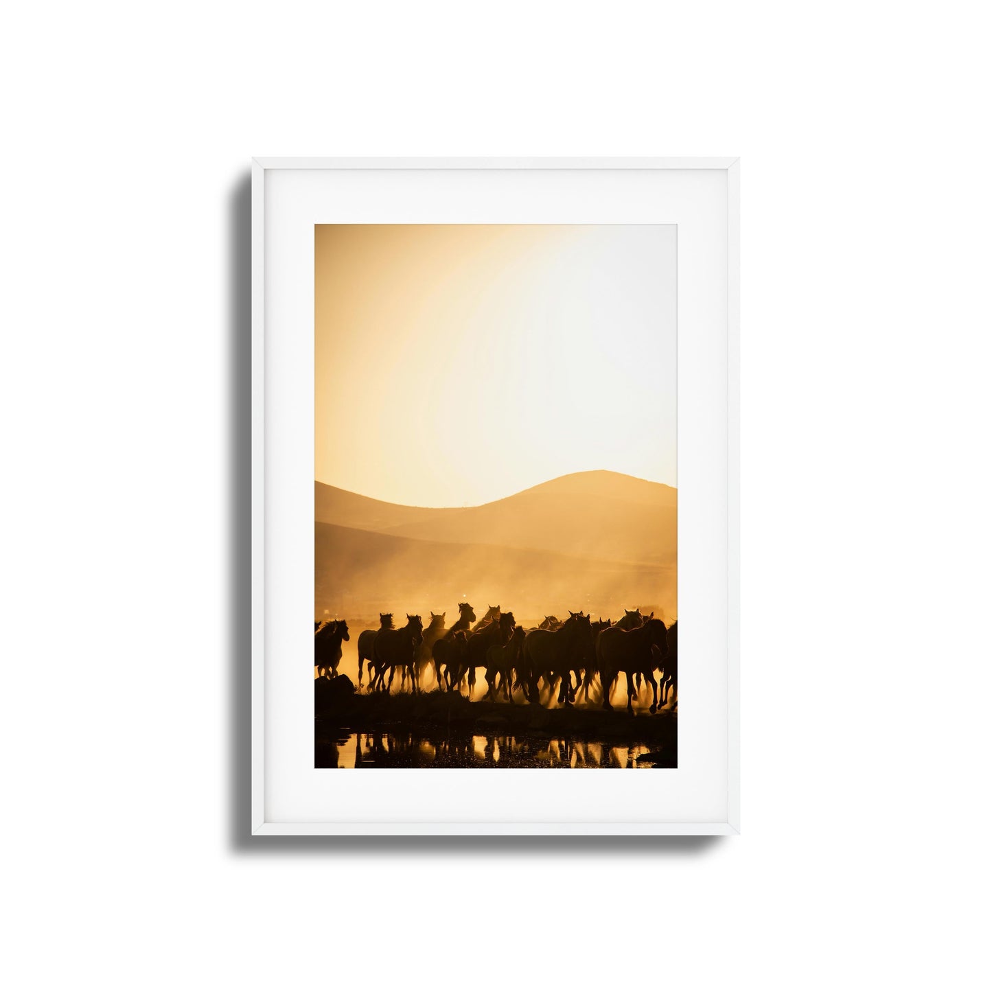 Run Wild Framed Art