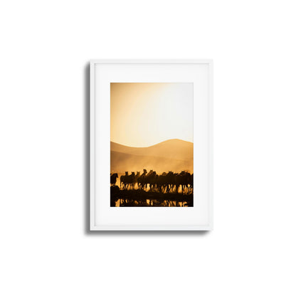 Run Wild Framed Art