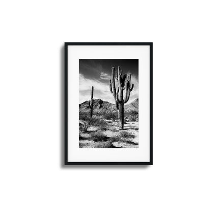 Saguaro Framed Art