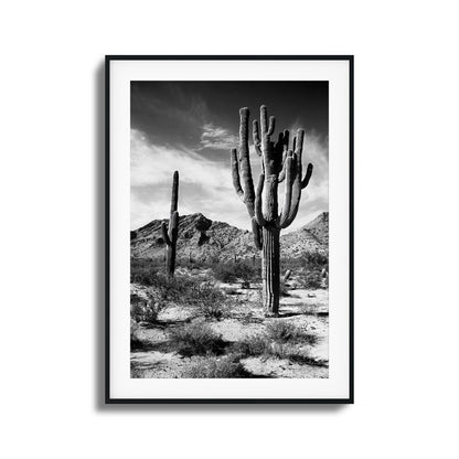 Saguaro Framed Art