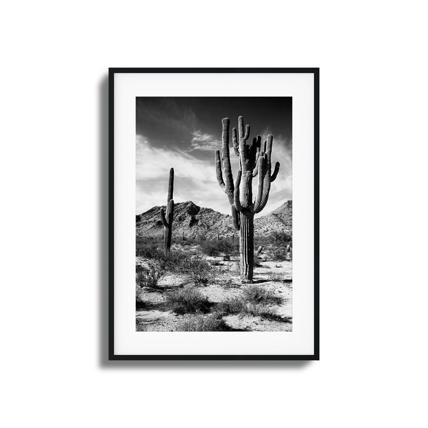 Saguaro Framed Art
