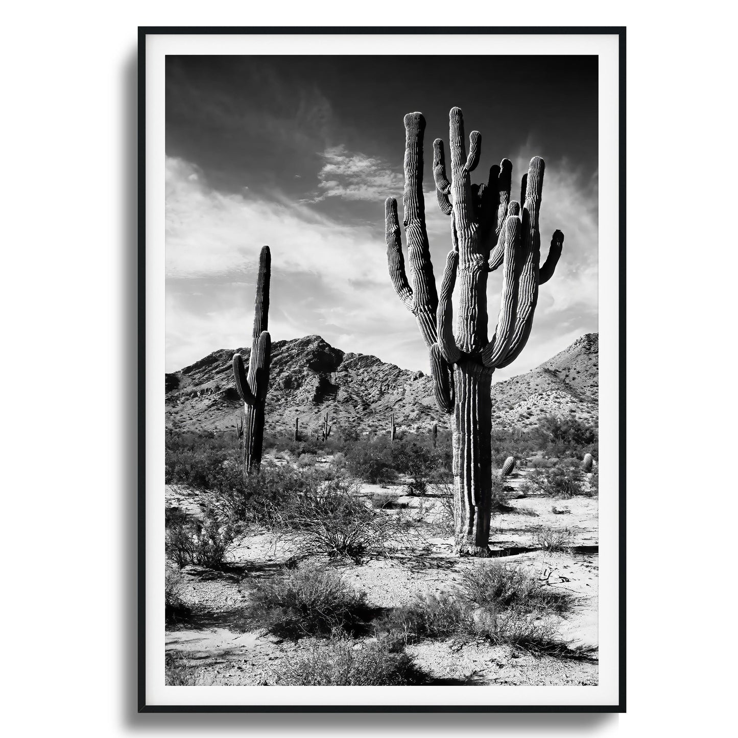 Saguaro Framed Art
