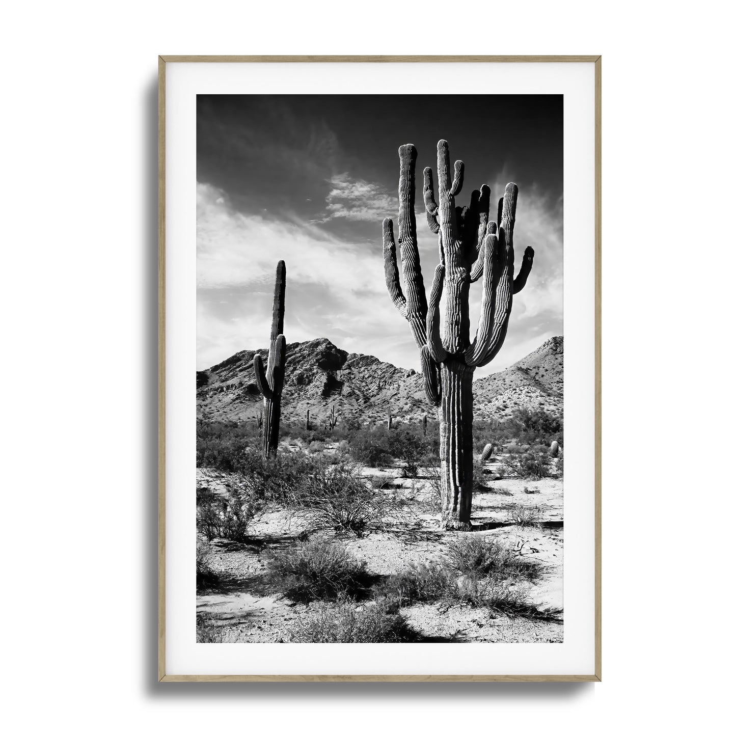 Saguaro Framed Art