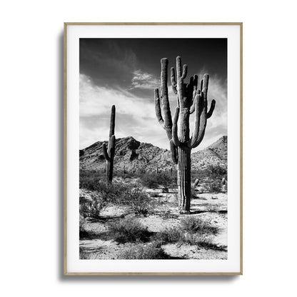 Saguaro Framed Art