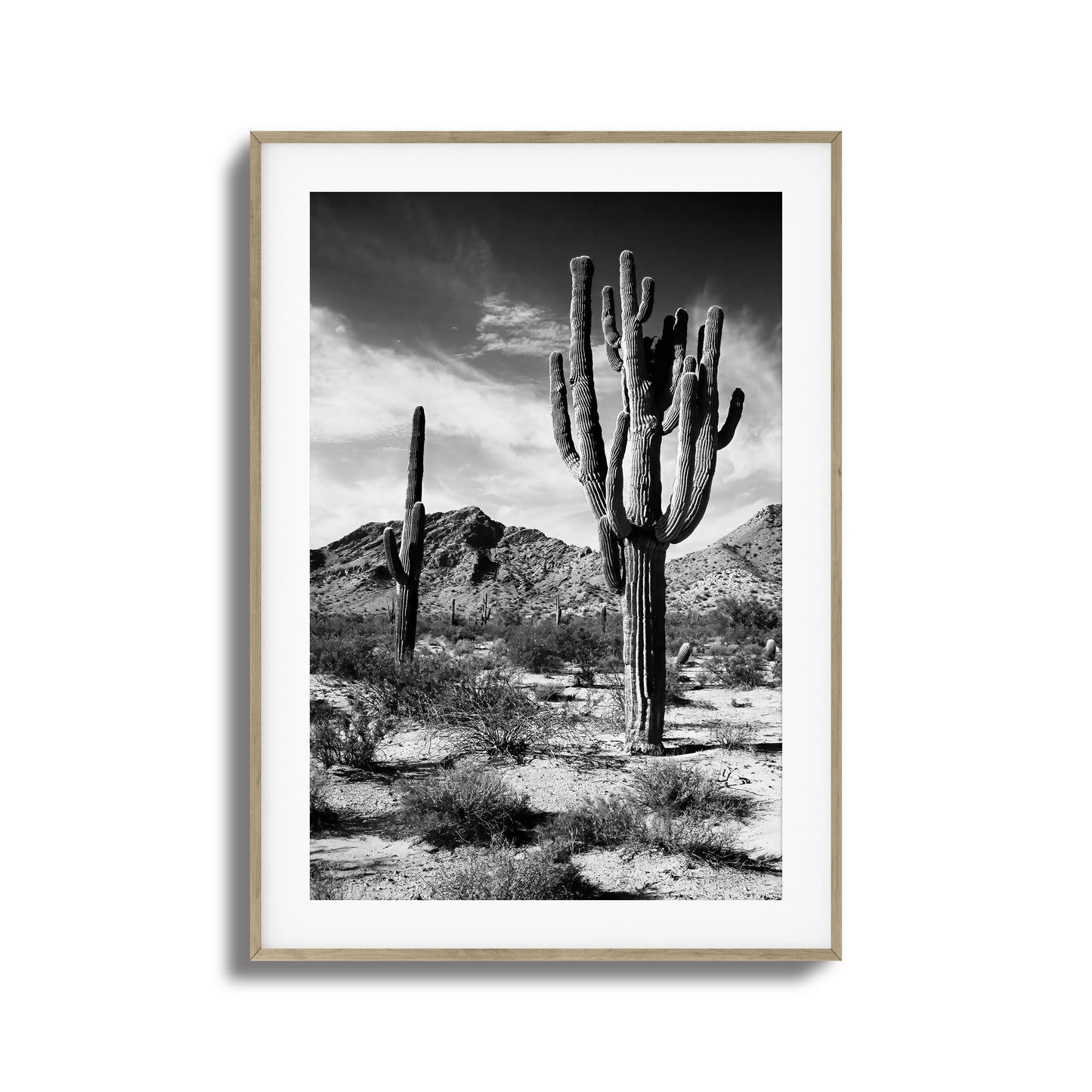Saguaro Framed Art