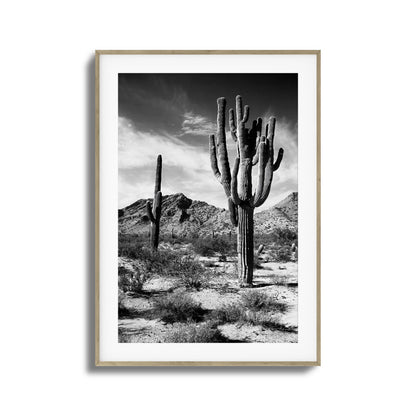 Saguaro Framed Art