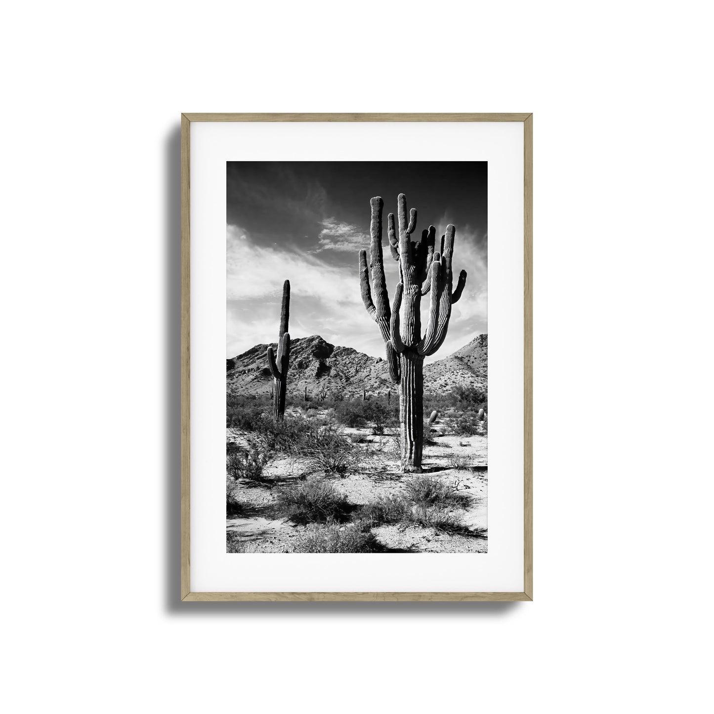 Saguaro Framed Art