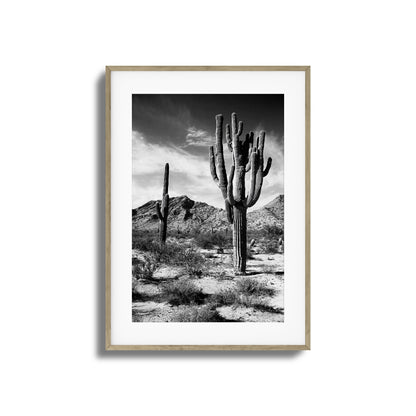 Saguaro Framed Art
