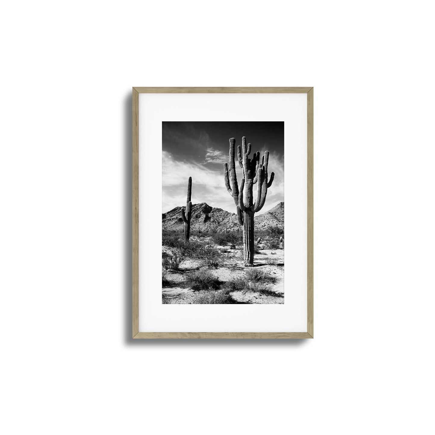 Saguaro Framed Art