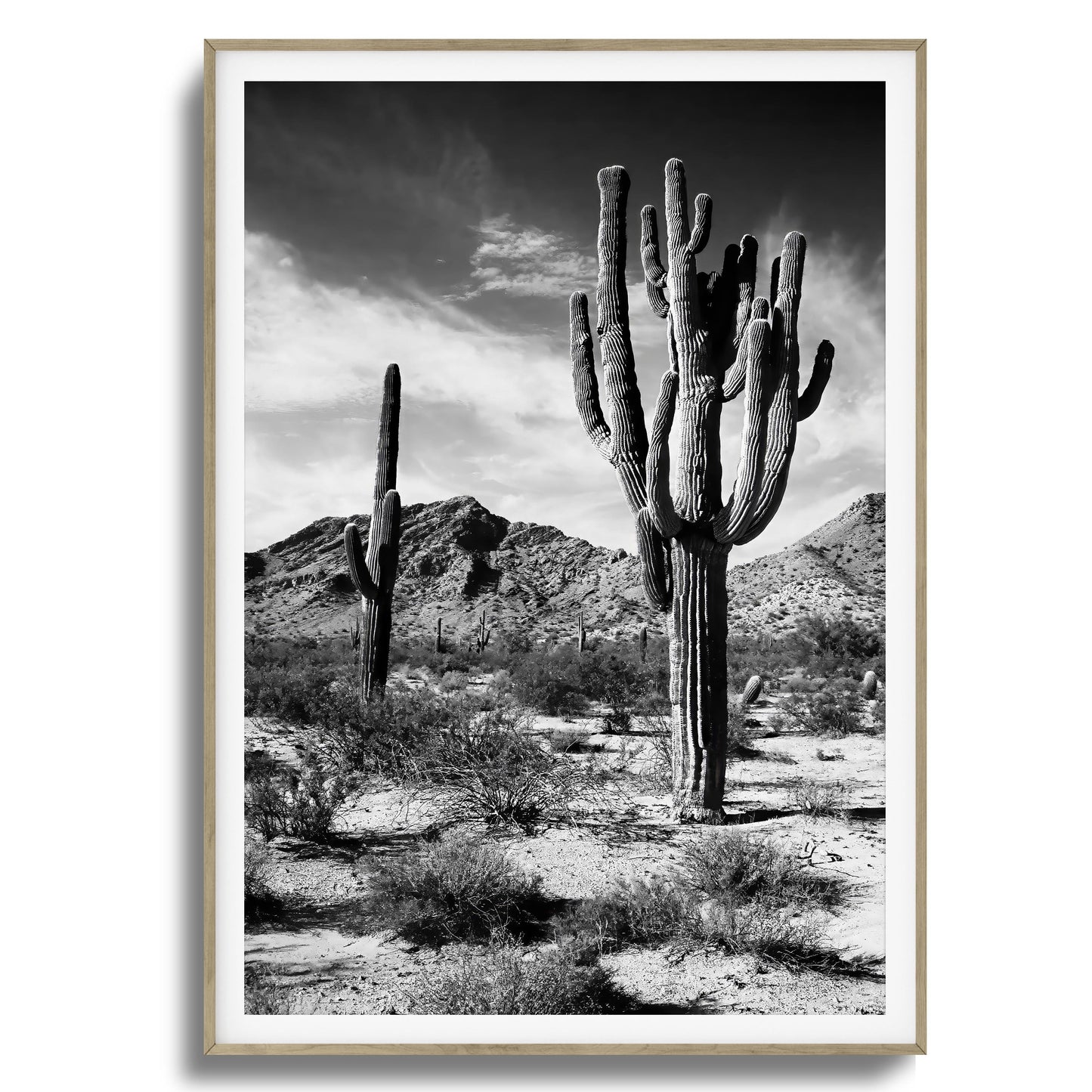 Saguaro Framed Art
