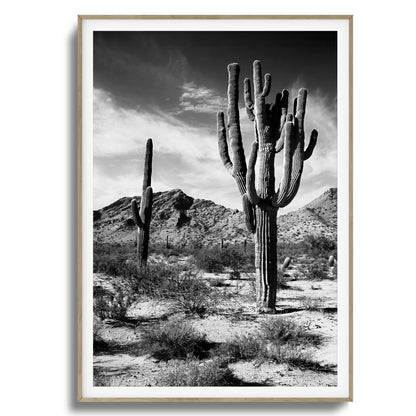 Saguaro Framed Art