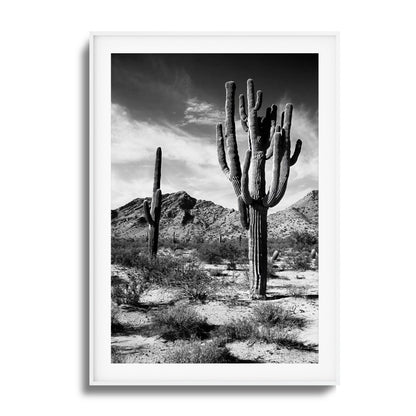 Saguaro Framed Art
