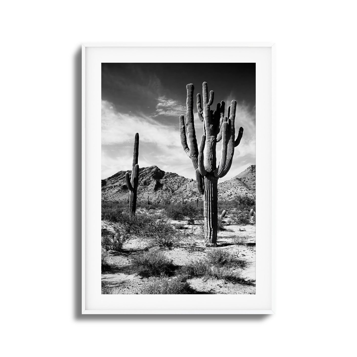Saguaro Framed Art