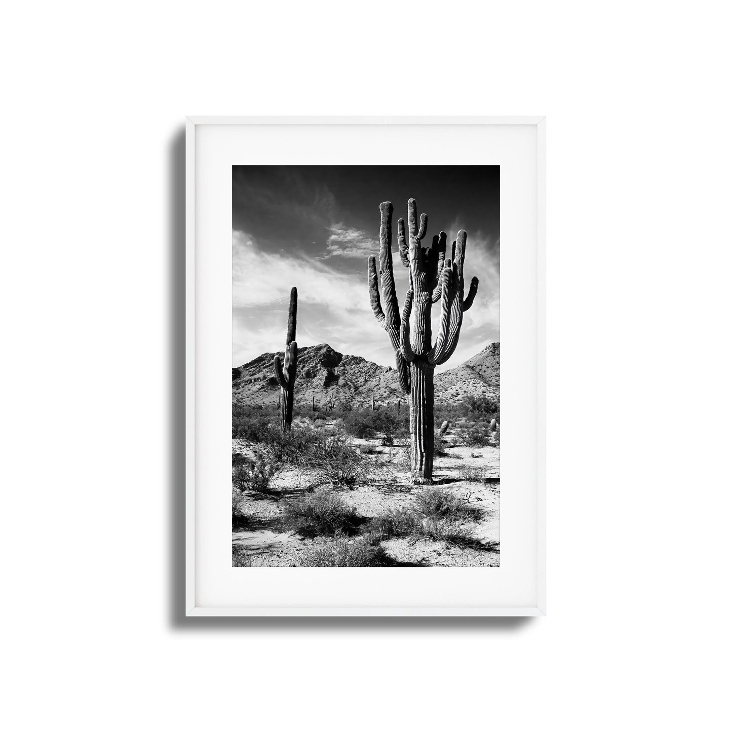 Saguaro Framed Art