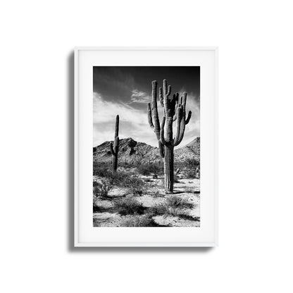 Saguaro Framed Art