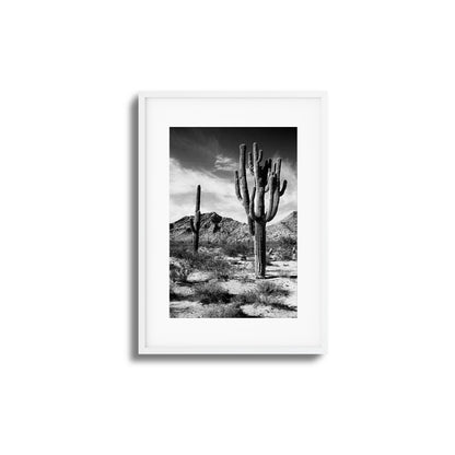 Saguaro Framed Art