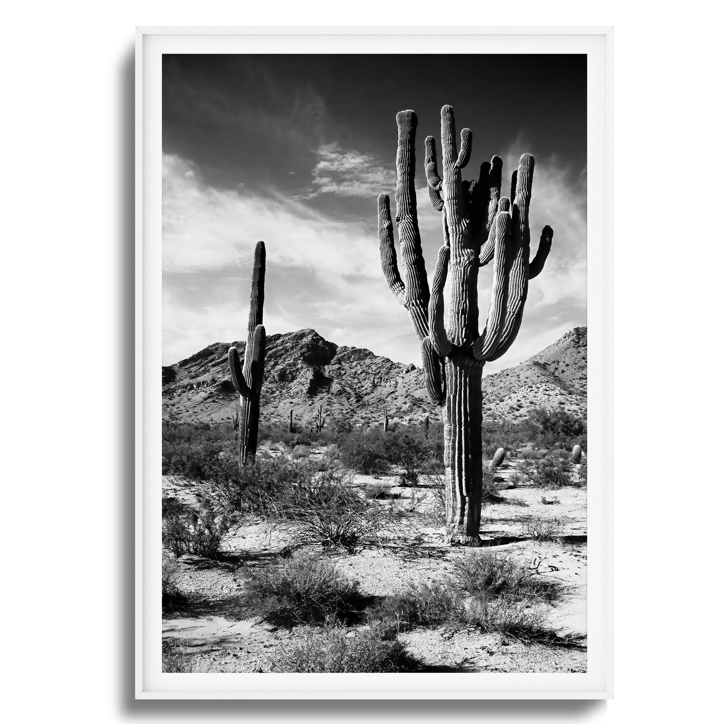 Saguaro Framed Art